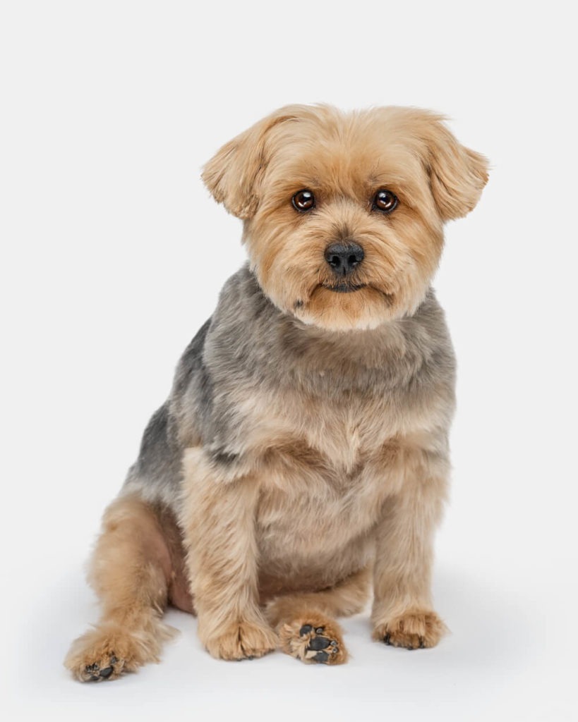 web-257400060-1-1-1000x1250-1