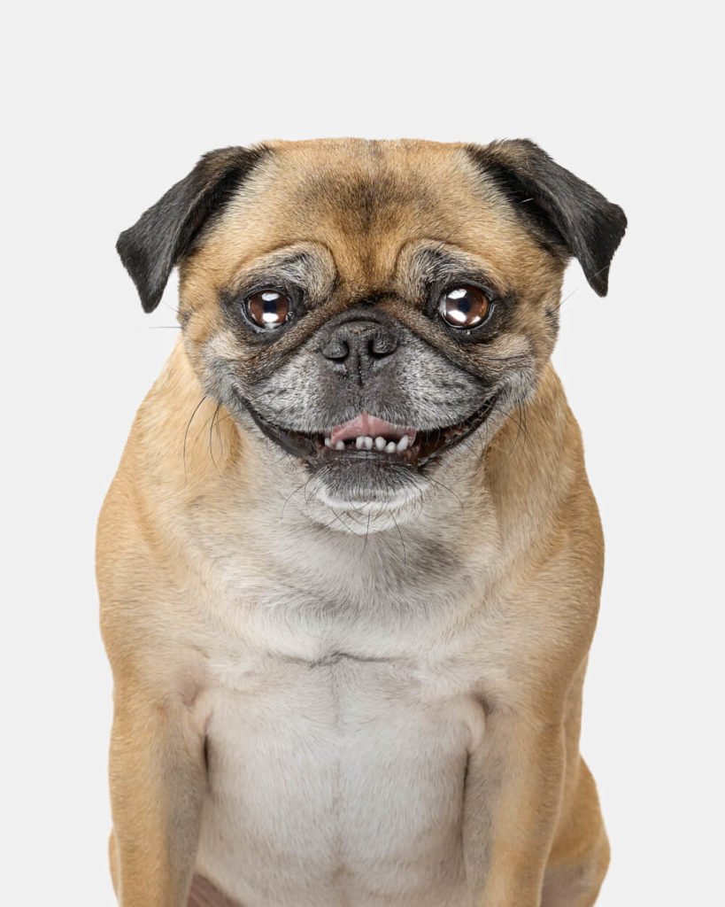 web-Untitled-Capture7400053-1000x1250-2